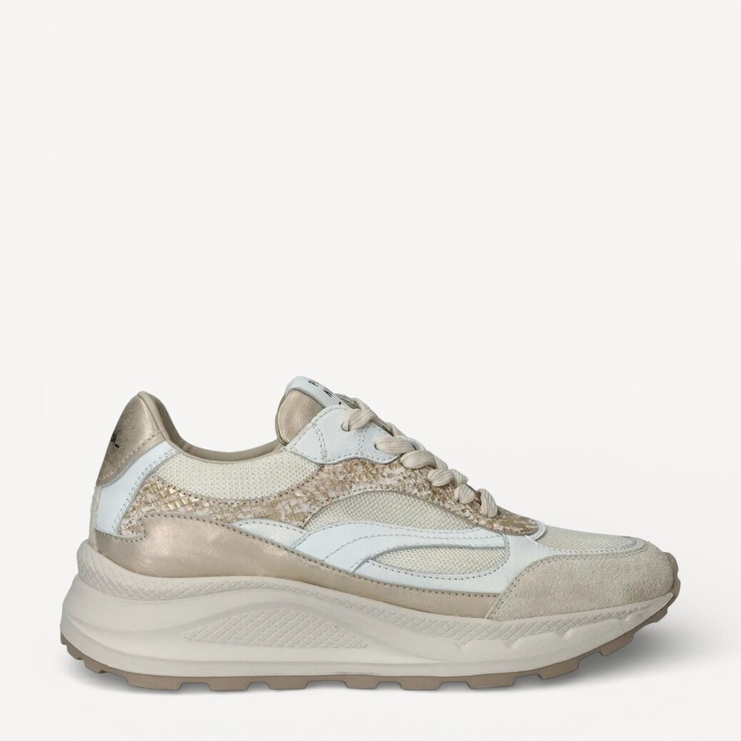 DAMES SPORTIEVE VETERSCHO-Beige combi kleur