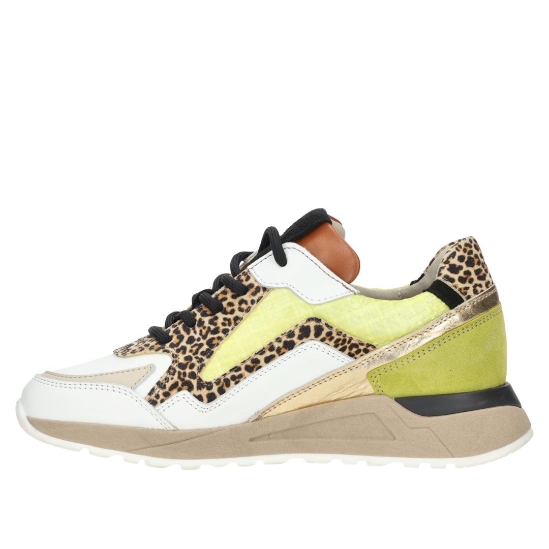 DAMES SPORTIEVE VETERSCHO-Groen combi kleur