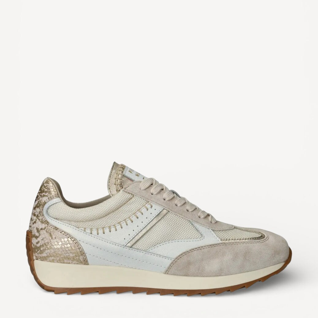 DAMES SPORTIEVE VETERSCHO-Beige suède/nubuck