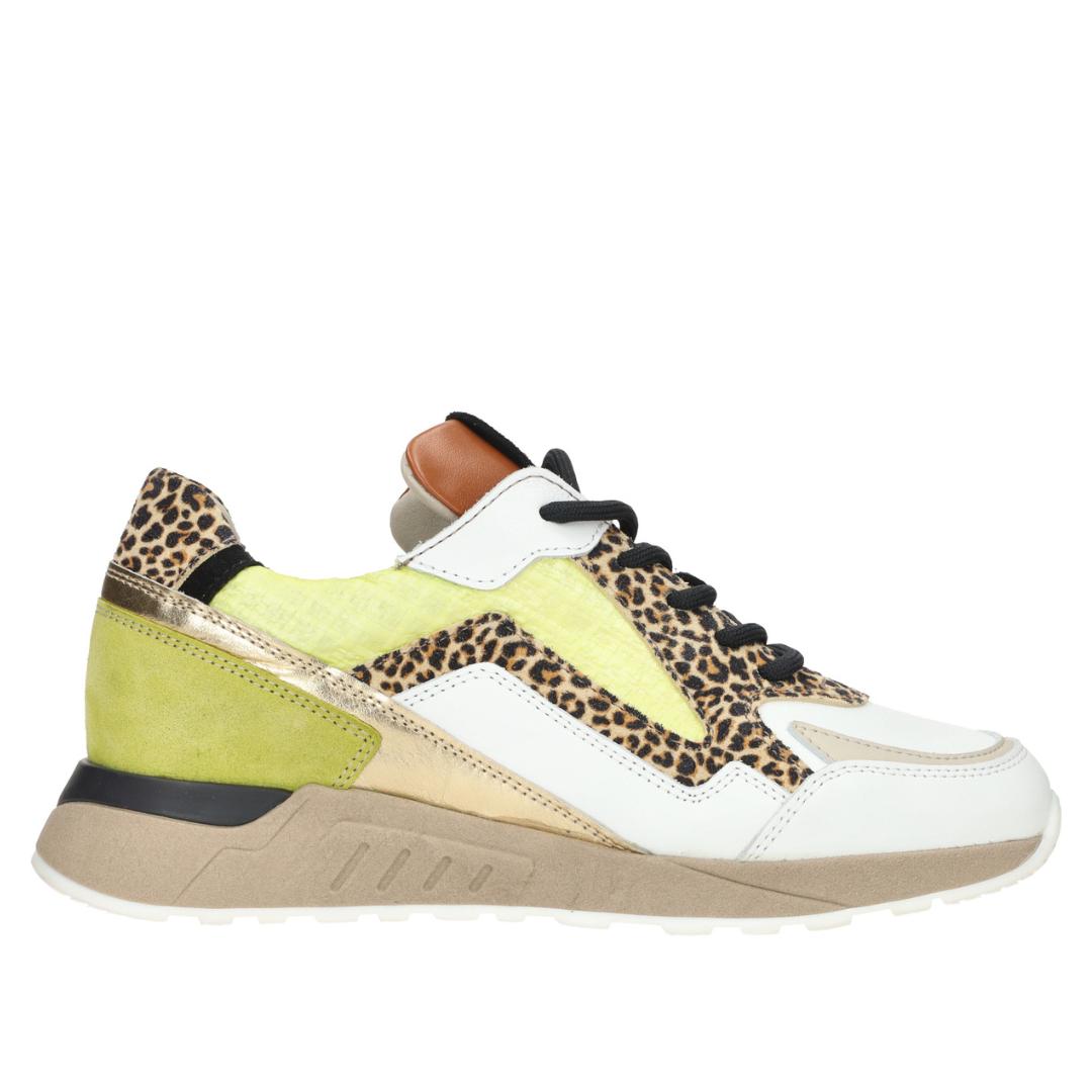 DAMES SPORTIEVE VETERSCHO-Groen combi kleur